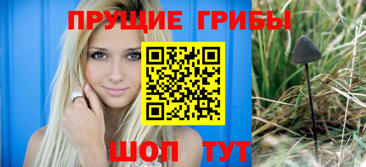 Псилоцибиновые грибы MAGIC MUSHROOMS  Псилоцибиновые грибы Psilocybe  Вход с VPN  Кашира 